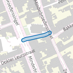 Peregrinus Vogelsstraat