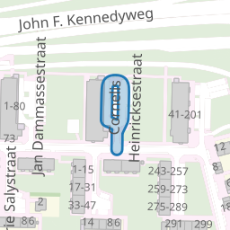 Cornelis Heinricksestraat