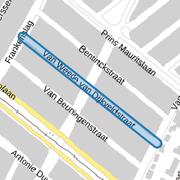 Van Weede van Dijkveldstraat