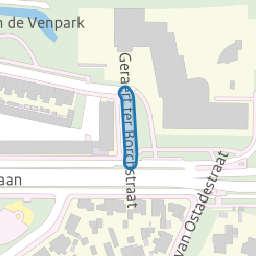 Geraert ter Borchstraat