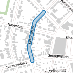 Leliënsingel