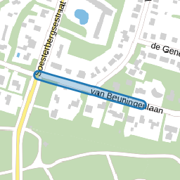 van Beuningenlaan