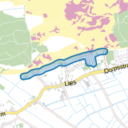 Duinweg Lies