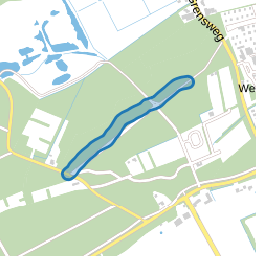 Dennenweg