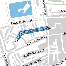 Gerard van Spaendonckstraat