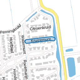 Kruizemunt