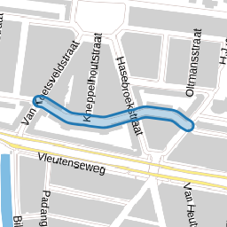 Bakhuizen van den Brinkstraat