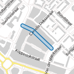 Nicolaas Ruychaverstraat