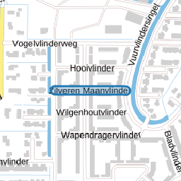 Zilveren Maanvlinder