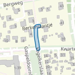 Berkenlaantje