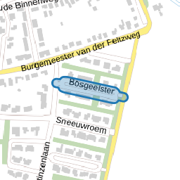 Bosgeelster