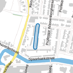 Professor Schotanusstraat