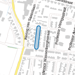 Professor van Swindenstraat