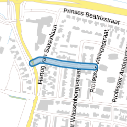 Professor Venemastraat