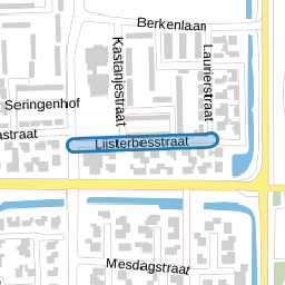 Lijsterbesstraat