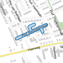 Prof. Bijhouwerstraat