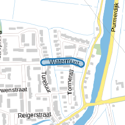 Watermunt