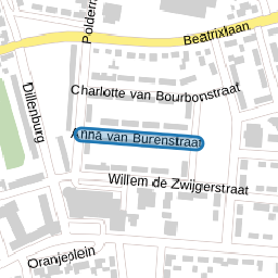 Anna van Burenstraat
