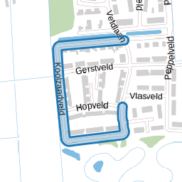 Koolzaadveld