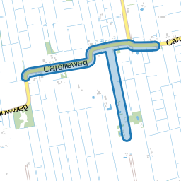 Carolieweg