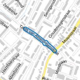 Taets van Amerongenstraat