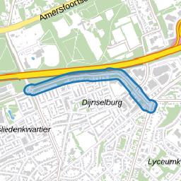 Dijnselburgerlaan