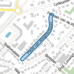 Pauw van Wieldrechtlaan