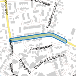 Prins Willem-Alexanderstraat