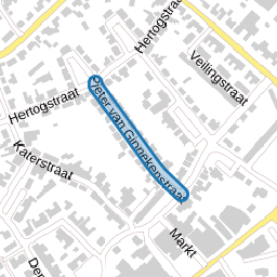 Pieter van Ginnekenstraat